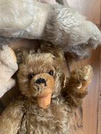 Steiff - Teddybeer Cosy Piggy - 1960-1970 - Duitsland