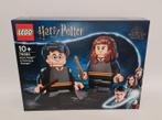 Lego - Harry Potter - 76393 - Figuur/beeld Harry Potter &
