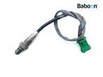 Lambda Sonde Husqvarna Svartpilen 401 2020-2021, Verzenden, Gebruikt