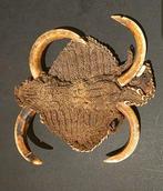 Abelam - Papouasie-Nouvelle-Guinée