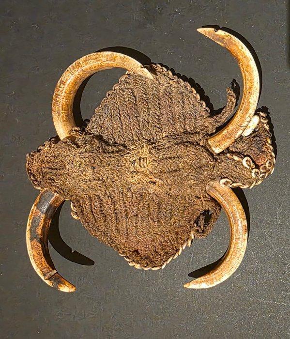 Abelam - Papouasie-Nouvelle-Guinée, Antiek en Kunst, Kunst | Niet-Westerse kunst