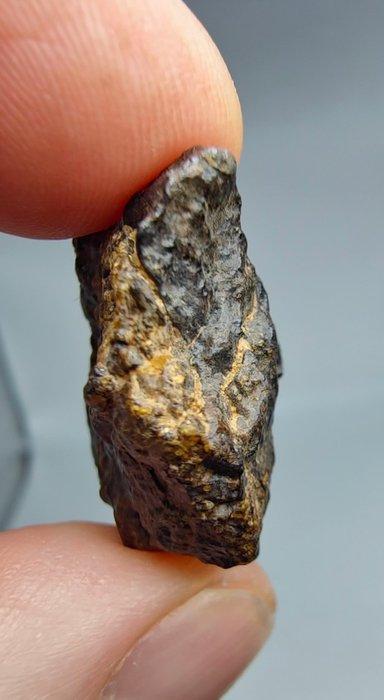 Lodranite meteoriet. NWA 17904. De meteoriet is een, Verzamelen, Mineralen en Fossielen