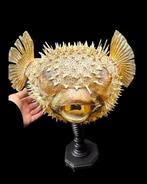 Impressive monster pufferfish on a stand museum - 67 cm, Nieuw