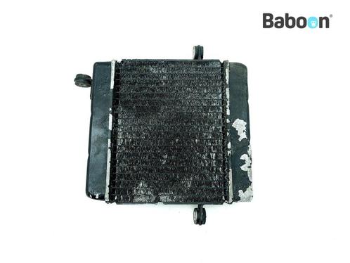 Radiateur Honda FES 250 Foresight 1997-2005 (FES250 KFG), Motoren, Onderdelen | Honda, Gebruikt, Verzenden