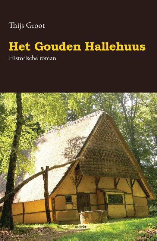Het gouden hallehuus 9789461537584 Thijs Groot, Livres, Romans historiques, Envoi