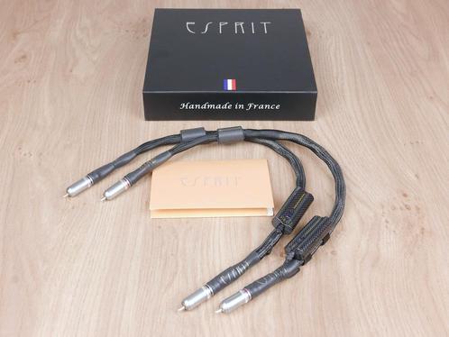 Esprit Aura G9 highend audio interconnects RCA 0,6 metre, TV, Hi-fi & Vidéo, Câbles audio & Câbles de télévision, Enlèvement ou Envoi