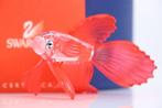 Figuur - Swarovski - Siamese Vechtvis Rood (Boxed +