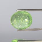 Paraiba toermalijn - 20.50 ct - Asian Institute of, Nieuw