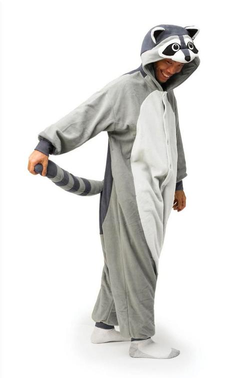 Onesie Grijze Wasbeer Pak XL-XXL Wasbeerpak Kostuum Grijs Ra, Vêtements | Hommes, Costumes de carnaval & Vêtements de fête, Enlèvement ou Envoi