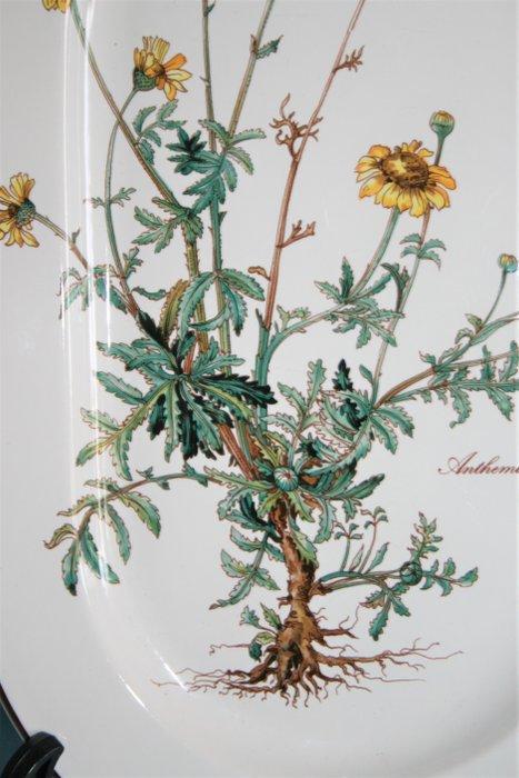Villeroy & Boch - Serveerschaal - Botanica - Vitro, Antiek en Kunst, Antiek | Meubels | Tafels