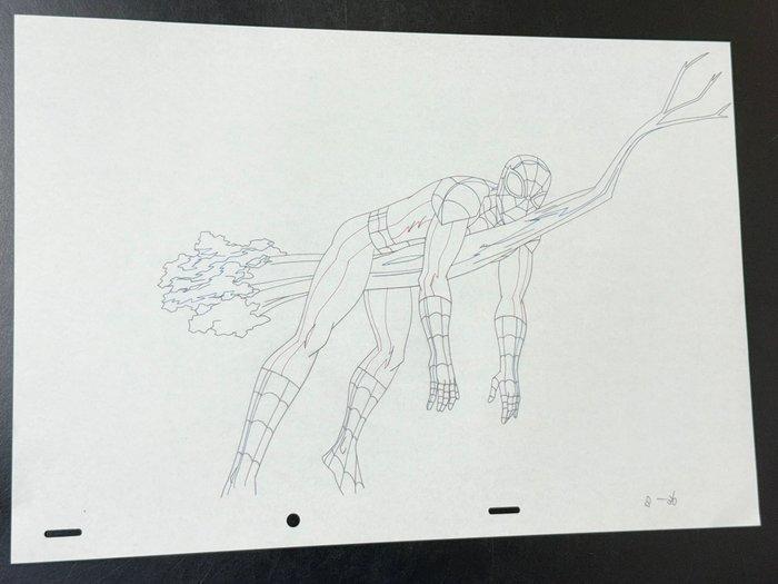 Marvel - Originele animatie tekening - Ultimate Spider-Man, Cd's en Dvd's, Dvd's | Tekenfilms en Animatie