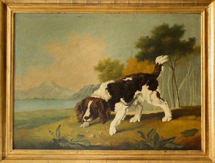 Escuela Franco-Belga (XX) - A black and white spaniel, Antiek en Kunst, Kunst | Schilderijen | Klassiek