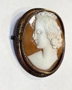 Sans prix de réserve - Broche Bronze - Camée coquillage, Bijoux, Sacs & Beauté