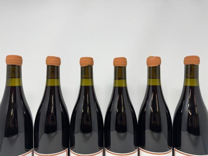 2022 Maxime Crotet Les Longs Rangs - Bourgogne - 6, Verzamelen, Wijnen