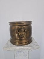 Bloempot - Messing - Lion Head, Antiek en Kunst