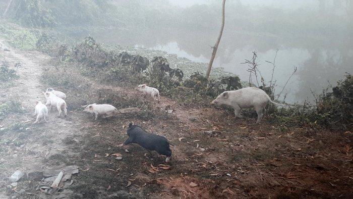 Jürgen Teller - Pics in Kolkata, Antiquités & Art, Art | Objets design