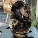 Septaria Wild Black Crystals Fine Large Wild Septaria Black
