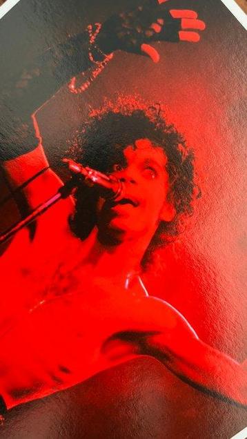 Govert de Roos - Prince Purple Rain Tour