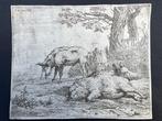 Karel Dujardin (1622-1678) - Tre maiali vicino a una siepe, Antiek en Kunst