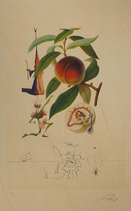 Salvador Dali (1904-1989) - Flordali, Pécheur Pénitent, Antiek en Kunst, Antiek | Overige Antiek