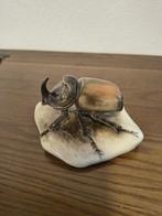 Royal Dux Bohemia - sculptuur, Rhinoceros Beetle - 8 cm -