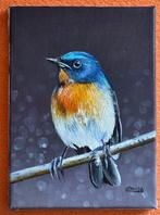 Alexander Nakonechnyi (XX-XXI) -