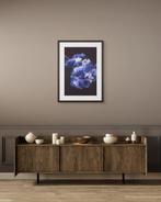 Marta Romashina - Florum Veritas