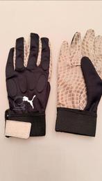 Ferrari - Formule 1 - Charles Leclerc and Lewis Hamilton -, Collections