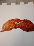 Pier Paolo Calzolari (1943) - Non