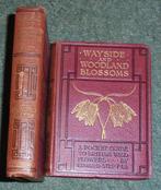 Edward Step - Wayside and Woodland Blossoms - 1905, Antiek en Kunst
