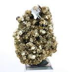 Cassiteriet met mica, sideriet en pyriet Panasqueira,
