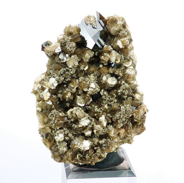 Cassiteriet met mica, sideriet en pyriet Panasqueira,, Verzamelen, Mineralen en Fossielen