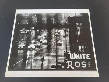 Eugene Smith (1918-1978) from Magnum Photos - White Rose,