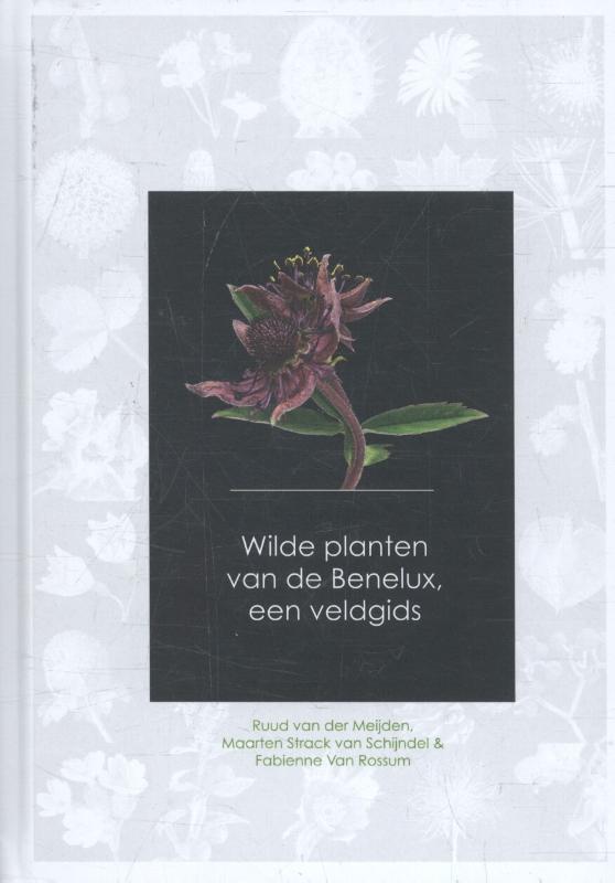 Wilde planten van de Benelux, een veldgids 9789082451139, Boeken, Hobby en Vrije tijd, Gelezen, Verzenden