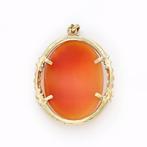 Hanger - 14 karaat Geel goud - Camee/Parel