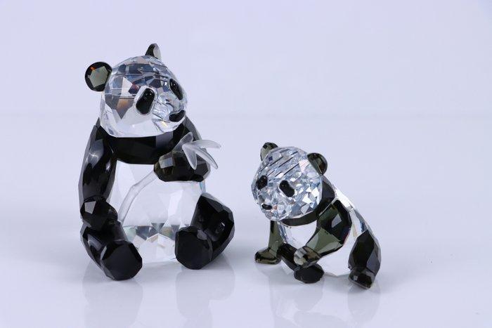 Figure - Swarovski SCS - Jaarlijkse Editie 2008 - Pandas, Antiek en Kunst, Curiosa en Brocante