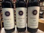 2019 Tenuta San Guido, Sassicaia - Bolgheri - 3 Bouteilles, Verzamelen, Nieuw
