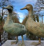 Beeldje - A pair of lifelike ducks - Brons, Antiek en Kunst, Curiosa en Brocante