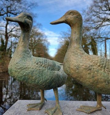 Beeldje - A pair of lifelike ducks - Brons