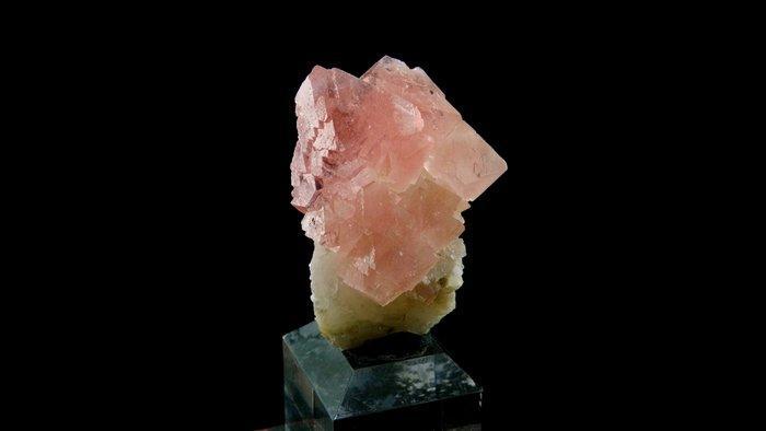 Roze fluoriet op calciet - Mont-Blanc, Alpen, Frankrijk -, Collections, Minéraux & Fossiles