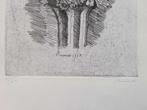 Giorgio Morandi (1890 - 1964) - Zinnie
