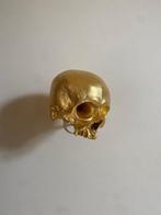 sylvain barberot - Skull #2, Antiek en Kunst