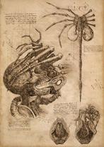 Boriani - 2x Alien, DaVinci, limited edition 10/20, Nieuw