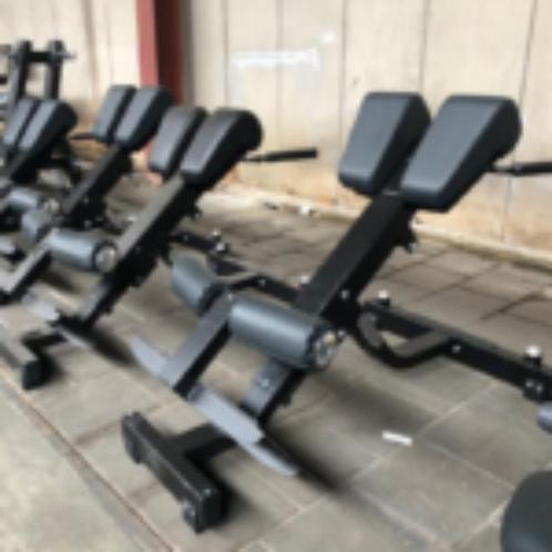 Technogym lower back bench | Pure strength | Back extension, Sport en Fitness, Fitnessapparatuur, Zo goed als nieuw, Verzenden