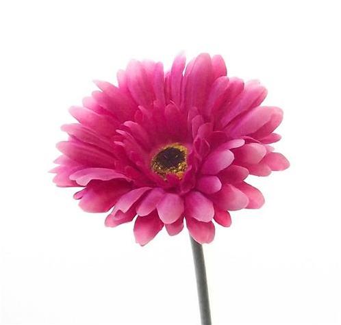 Gerbera 54 cm. FS Hot Pink Gerbera, Huis en Inrichting, Woonaccessoires | Kunstplanten en Kunstbloemen, Nieuw