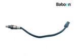 Lambda Sonde Yamaha LTS-C 125 Delight 2021-> (SEH21 B3Y), Verzenden, Gebruikt
