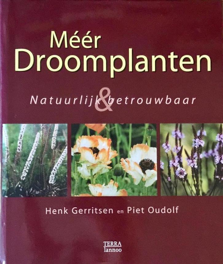 Meer droomplanten 9789062558964 H. Gerritsen, Boeken, Hobby en Vrije tijd, Gelezen, Verzenden