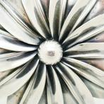 Zonder minimumprijs - Niels Erik From - Broche Zilver