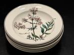 Villeroy & Boch - Schotel (6) - Botanica - Porselein, Antiek en Kunst