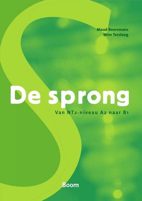 De sprong / NT2 op maat 9789461052872 Wim Tersteeg, Boeken, Schoolboeken, Gelezen, Verzenden